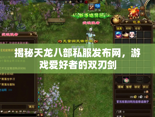 揭秘天龙八部私服发布网，游戏爱好者的双刃剑