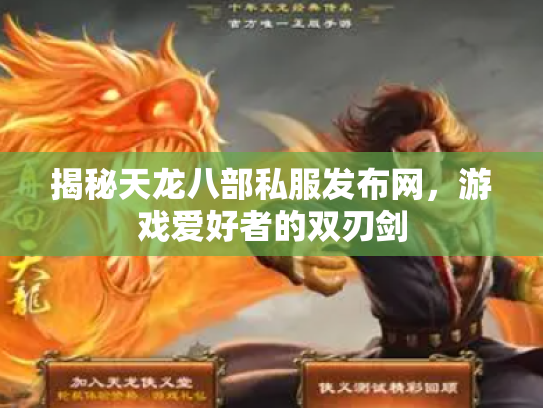 揭秘天龙八部私服发布网，游戏爱好者的双刃剑