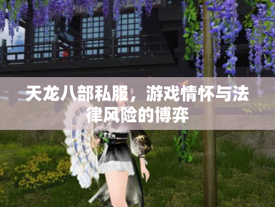 天龙八部私服，游戏情怀与法律风险的博弈