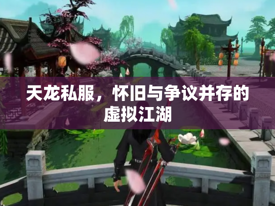 天龙私服，怀旧与争议并存的虚拟江湖