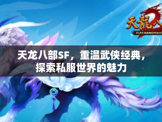 天龙八部SF，重温武侠经典，探索私服世界的魅力