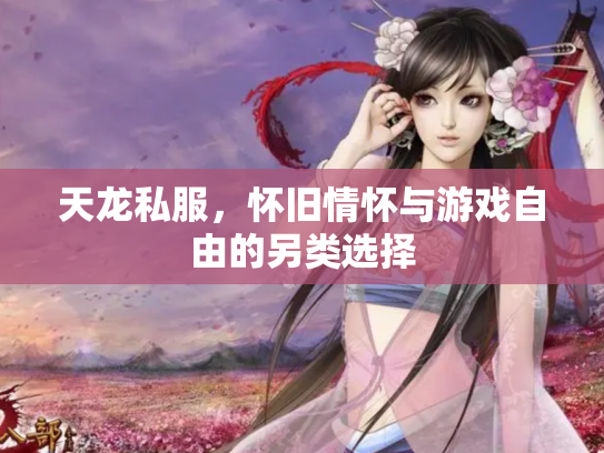天龙私服，怀旧情怀与游戏自由的另类选择