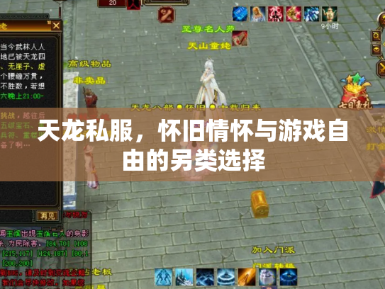 天龙私服，怀旧情怀与游戏自由的另类选择