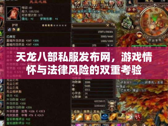 天龙八部私服发布网，游戏情怀与法律风险的双重考验