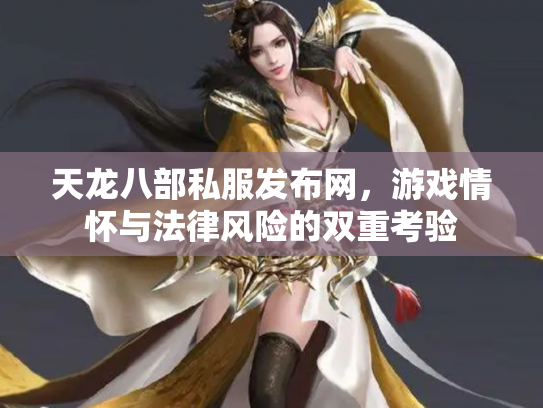 天龙八部私服发布网，游戏情怀与法律风险的双重考验