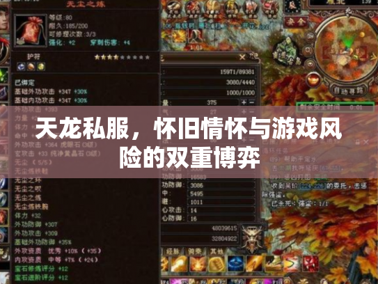 天龙私服，怀旧情怀与游戏风险的双重博弈