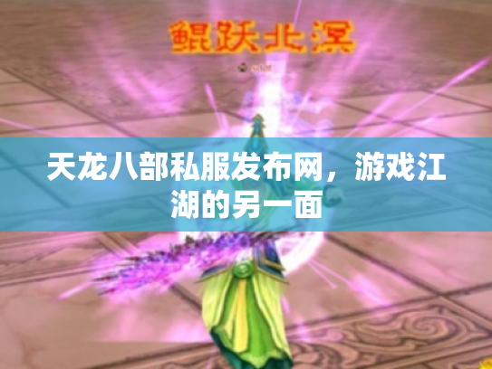 天龙八部私服发布网，游戏江湖的另一面
