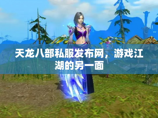 天龙八部私服发布网，游戏江湖的另一面
