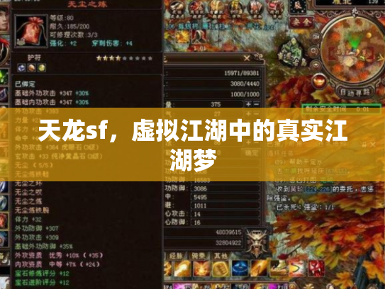 天龙sf，虚拟江湖中的真实江湖梦