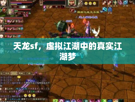 天龙sf，虚拟江湖中的真实江湖梦