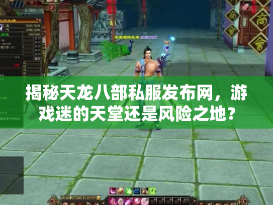 揭秘天龙八部私服发布网，游戏迷的天堂还是风险之地？