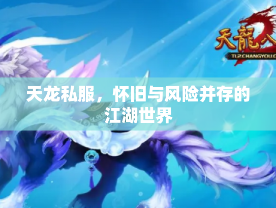 天龙私服，怀旧与风险并存的江湖世界