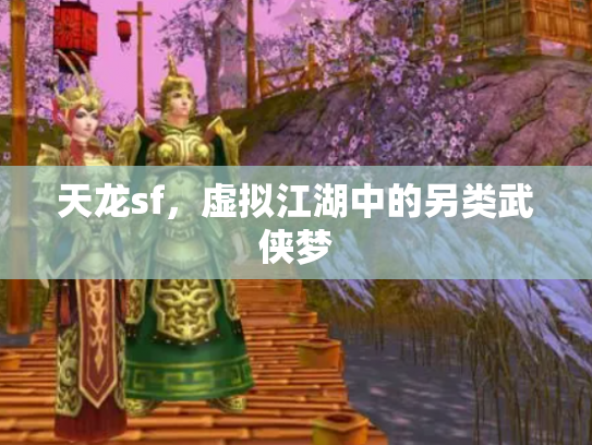 天龙sf，虚拟江湖中的另类武侠梦