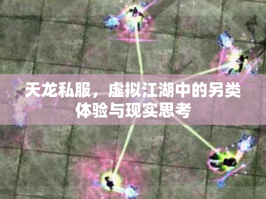 天龙私服，虚拟江湖中的另类体验与现实思考
