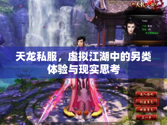 天龙私服，虚拟江湖中的另类体验与现实思考