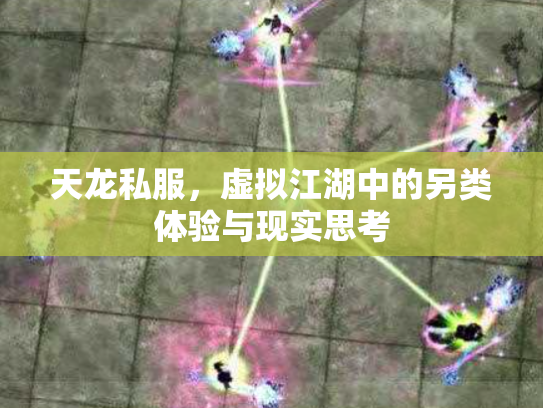 天龙私服，虚拟江湖中的另类体验与现实思考