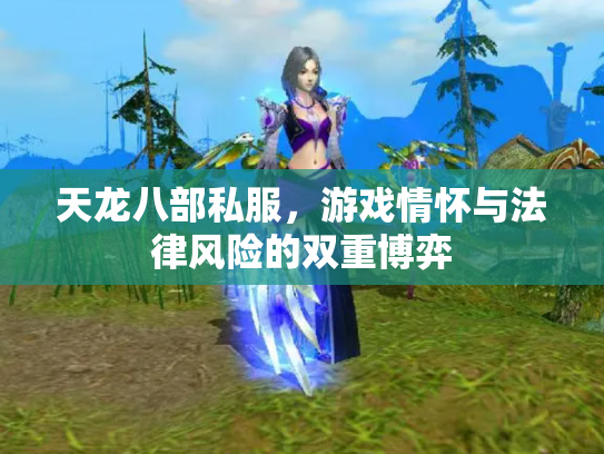 天龙八部私服，游戏情怀与法律风险的双重博弈