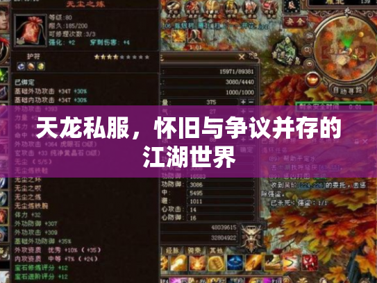 天龙私服，怀旧与争议并存的江湖世界