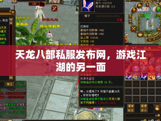 天龙八部私服发布网，游戏江湖的另一面