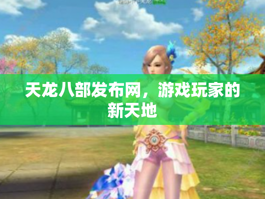天龙八部发布网，游戏玩家的新天地