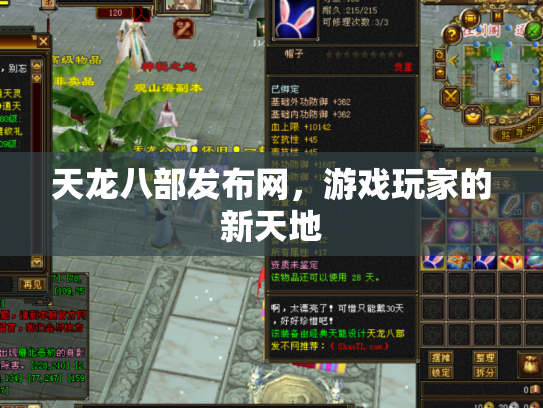 天龙八部发布网，游戏玩家的新天地