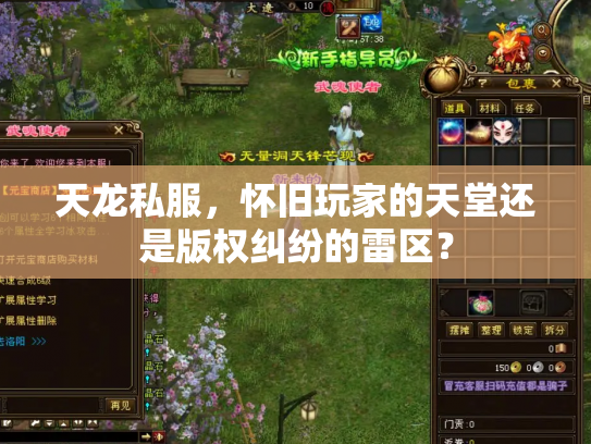 天龙私服，怀旧玩家的天堂还是版权纠纷的雷区？