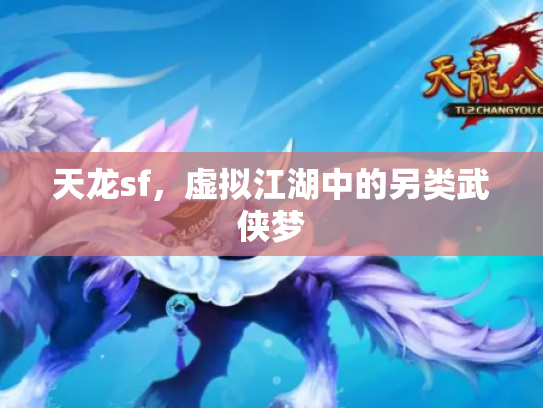 天龙sf，虚拟江湖中的另类武侠梦