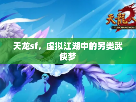 天龙sf，虚拟江湖中的另类武侠梦