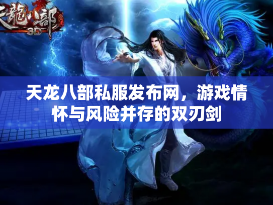 天龙八部私服发布网，游戏情怀与风险并存的双刃剑