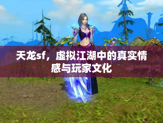 天龙sf，虚拟江湖中的真实情感与玩家文化