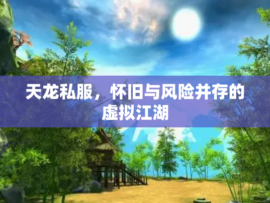 天龙私服，怀旧与风险并存的虚拟江湖