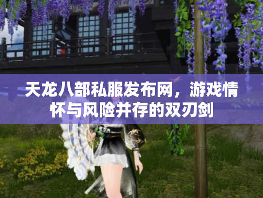 天龙八部私服发布网，游戏情怀与风险并存的双刃剑