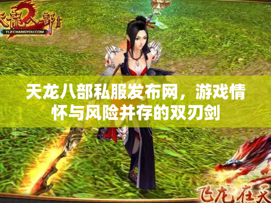 天龙八部私服发布网，游戏情怀与风险并存的双刃剑