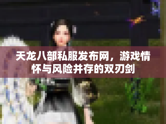 天龙八部私服发布网，游戏情怀与风险并存的双刃剑