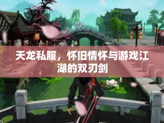 天龙私服，怀旧情怀与游戏江湖的双刃剑