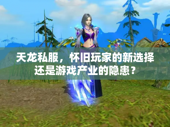 天龙私服，怀旧玩家的新选择还是游戏产业的隐患？