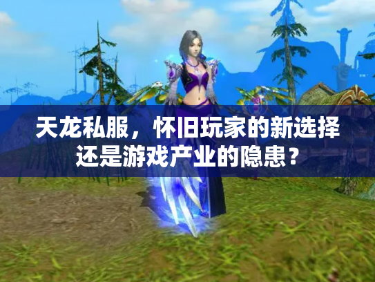 天龙私服，怀旧玩家的新选择还是游戏产业的隐患？