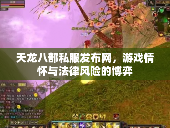 天龙八部私服发布网，游戏情怀与法律风险的博弈