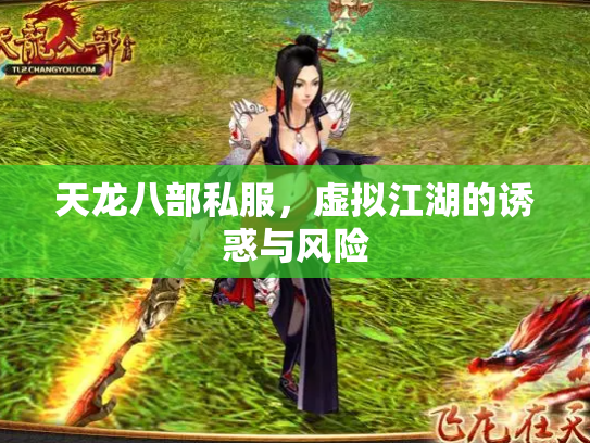 天龙八部私服，虚拟江湖的诱惑与风险