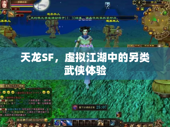 天龙SF，虚拟江湖中的另类武侠体验