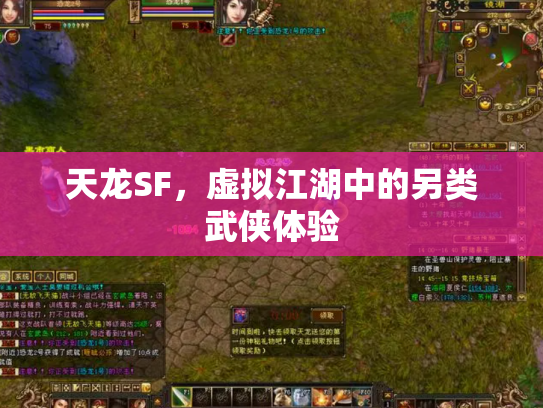 天龙SF，虚拟江湖中的另类武侠体验