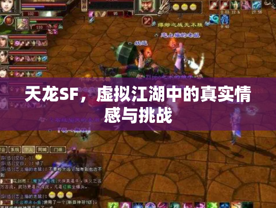 天龙SF，虚拟江湖中的真实情感与挑战