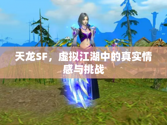 天龙SF，虚拟江湖中的真实情感与挑战