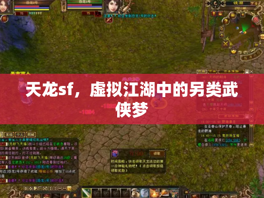 天龙sf，虚拟江湖中的另类武侠梦