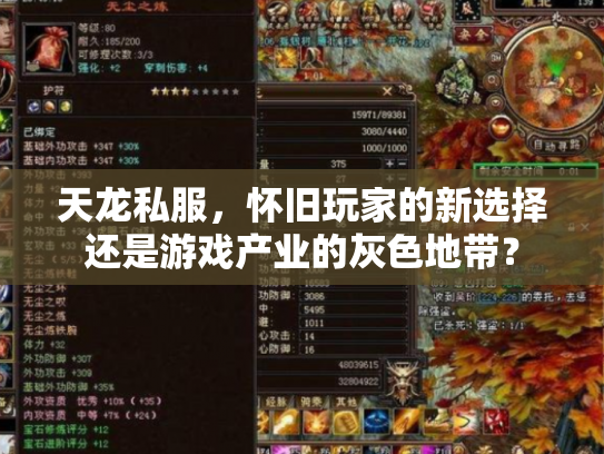 天龙私服，怀旧玩家的新选择还是游戏产业的灰色地带？