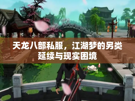 天龙八部私服，江湖梦的另类延续与现实困境