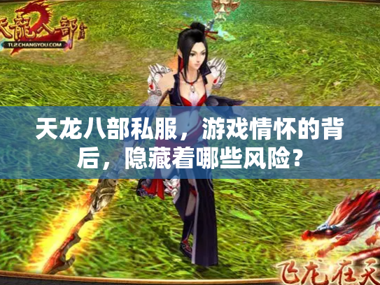 天龙八部私服，游戏情怀的背后，隐藏着哪些风险？