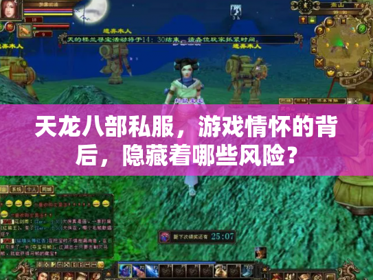 天龙八部私服，游戏情怀的背后，隐藏着哪些风险？