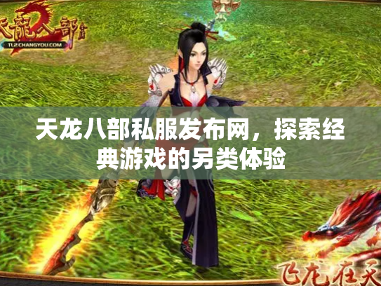 天龙八部私服发布网，探索经典游戏的另类体验