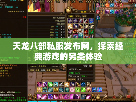 天龙八部私服发布网，探索经典游戏的另类体验